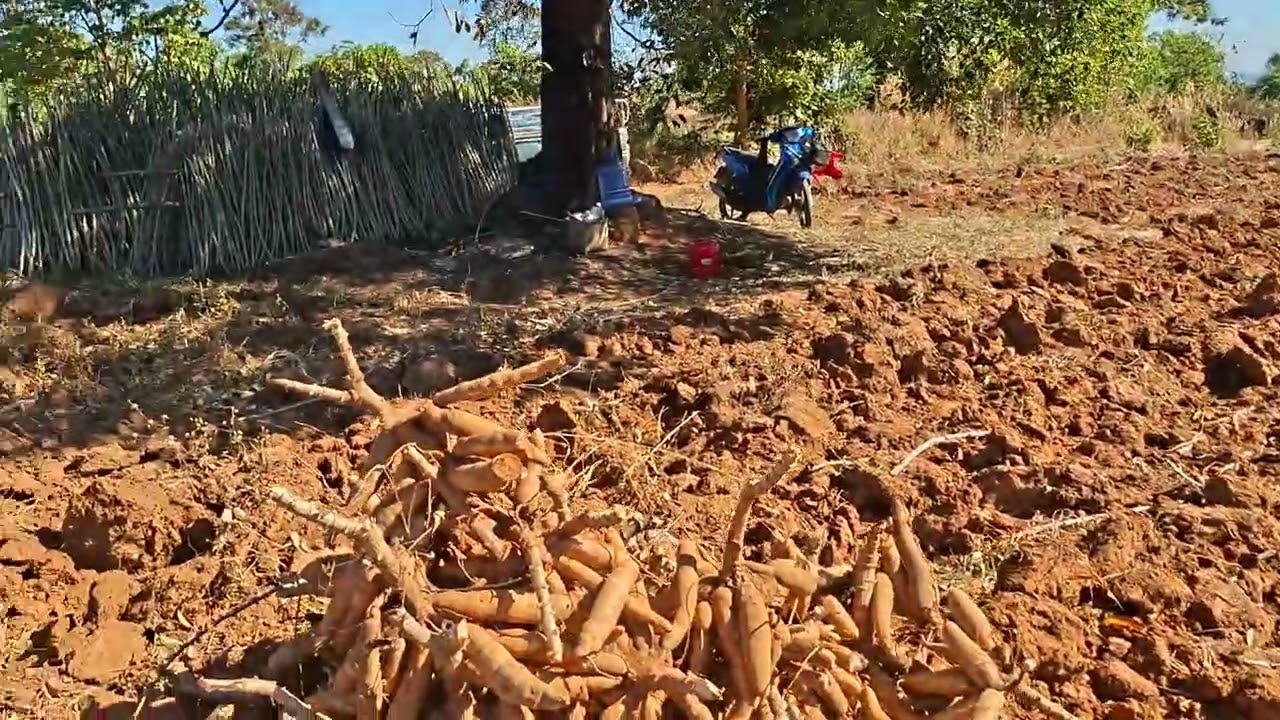 17 ธันวาคม ค.ศ. 2025