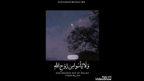 وَلَا تَيْأَسُوا مِن رَّوْحِ اللَّهِ // حالات واتساب و انستجرام دينية ( سورة يوسف)