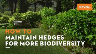 How To Maintain Biodiverse Hedges Stihl