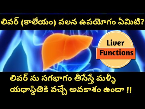 Functions of Liver in Telugu (కాలేయం - ప్రయోజనాలు )