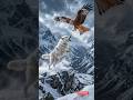 🐺🦅 Wolf vs Kite Bird Battle! Who Will Win? 😱 #Wolf #KiteBird #Wildlife #Animal #Nature #AnimalBattle