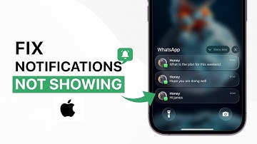 Hoe los ik het probleem op dat meldingen niet op de iPhone worden weergegeven?