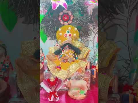 Bansi Wale Ko Tum yad kar lo Radhe Radhe Jay Shri Krishna ♥️🙏🙏♥️