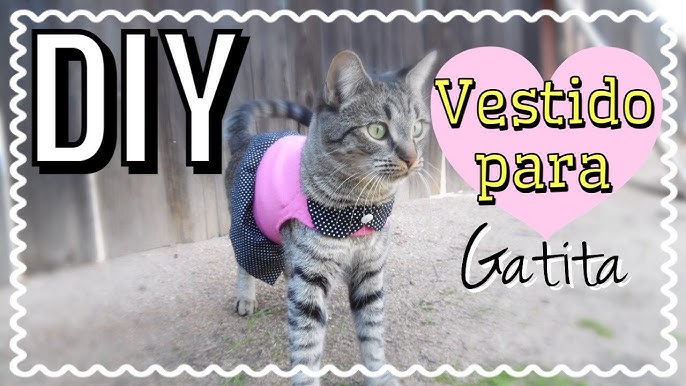 Uganda recepción Albany 💖😺 ROPA para GATOS PEQUEÑOS [JIGGLYPUFF] 3.0 😺💖¿Cómo hacer ROPA para  GATOS? - YouTube