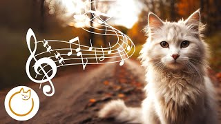 EXTRA-RELAXING Music for Cats - 528Hz Anti-Anxiety Melodies 🐈 by Calm Your Cat - Relaxing Music and Tv For Cats 868 views 6 months ago 12 hours