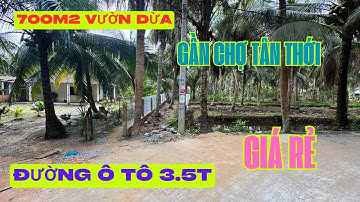 MS1910: 700M2 VƯỜN DỪA XÃ TÂN THỚI giá rẻ, đường Đan ô tô . Gần chợ