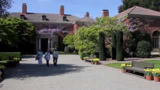 Beyond The Back Gate Filoli's "Wild Garden" Beyond The Back Gate Filoli's "Wild Garden"