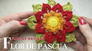 Flor de Pascua de Ganchillo  🎀 Flor de Navidad con diagrama  para principiantes #crochet