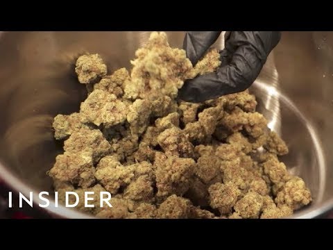 Silver Haze Filter systems Expanding Info and Medical Consequences