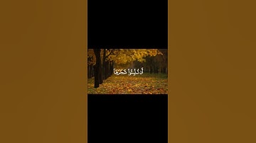 تلاوة طيبة للشيخ علي جابر #quran
