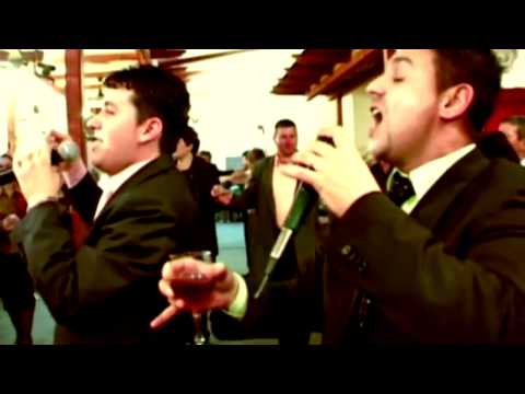 █▬█ █ ▀█▀ Nicu Paleru & Nicu Albu - Raman tanar si frumos