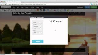 How To Add A Hit Counter To Your Website
