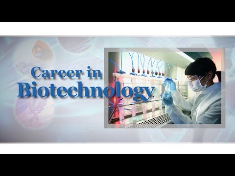 PhD In Biotechnology In Germany – CollegeLearners.com