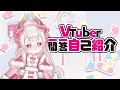 【らづま/라즈마】Vtuber一問一答自己紹介/1문1답 자기소개【新人Vtuber】