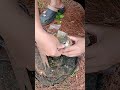 Survival Stove Made from Old Cans #skills #lifehacks #bushcraft #camping