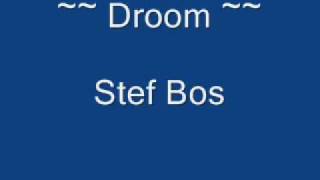 Video thumbnail of "Stef Bos ~ Droom"