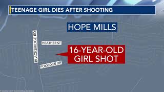 16-year-old girl dies after shooting Net Worth