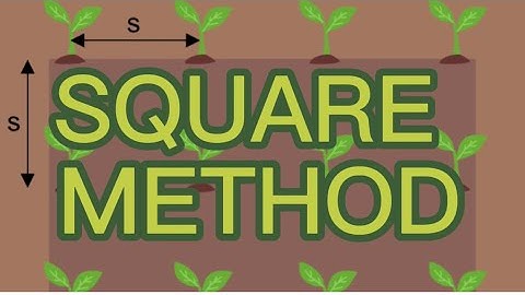 How to Conduct Field Lay-out using Square System Planting | Agricultural Crops Production NCII