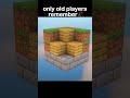 Minecraft Only Old Player Moment