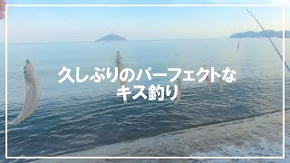 【キス釣り】久しぶりにパーフェクトなキス釣り