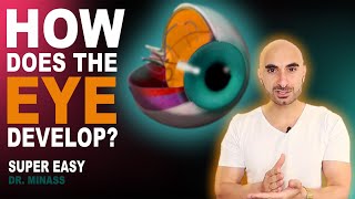 Embryology of the Eye (Easy to Understand)