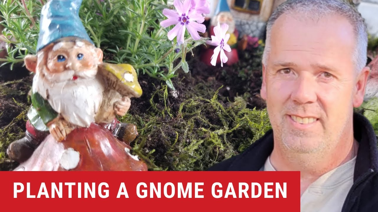 How to Make a Gnome Garden