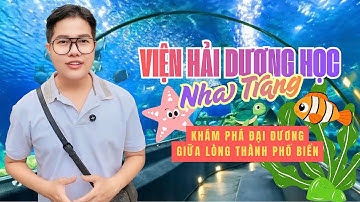 Vlog 140 I Viện Hải Dương Học Nha Trang - Khám phá đại dương đầy sống động giữa lòng Thành Phố Biển