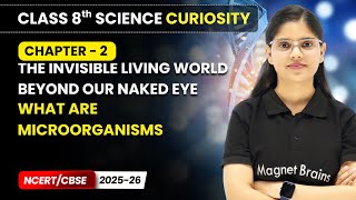 What are Microorganisms | Class 8 Science Curiosity | Chapter 2 | CBSE 2025-26