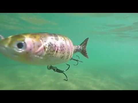 Daddy Mac Lures Viper 9" Rainbow Trout