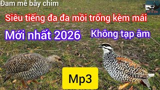 Tiếng đa đa mồi mới nhất 2026- file trống kèm mái kêu bổi chạy mạnh