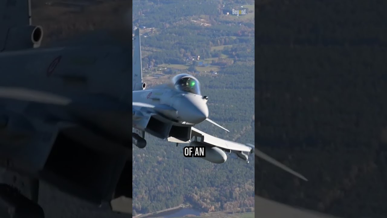 How Do Canards Affect The Weight And Fuel Efficiency Of A Fighter Jet Shorts