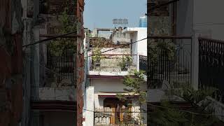 mahaly ki Masti holi....