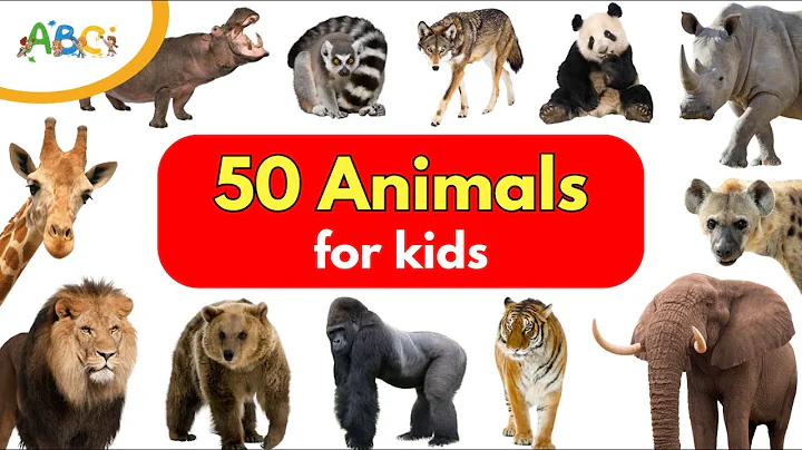 50 Animals for Kids | Learn Animal Names | Types of Animals for Kids | Wild Animals Name