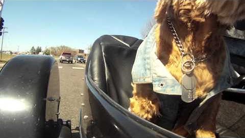 Caught on Camera: Go-Pro mount fails on motorcycle
