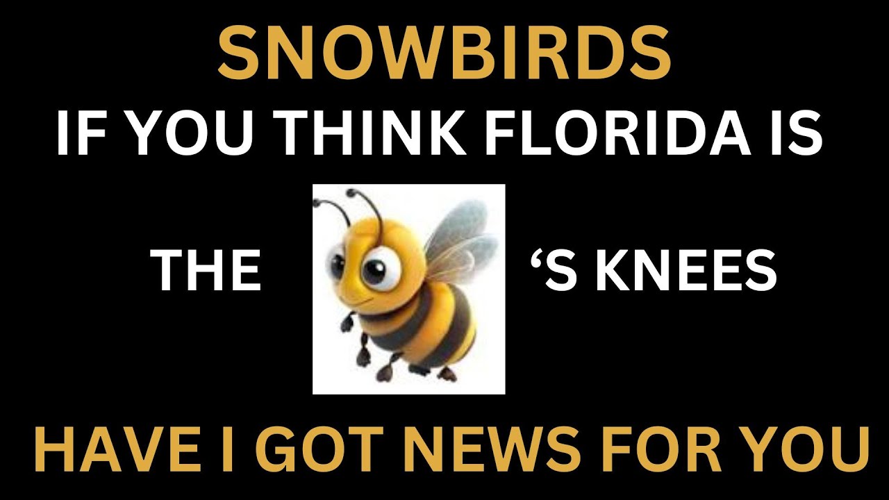 Consider Armenia YouTube