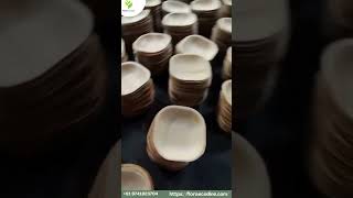 Flora Eco Dine – Premium Areca Palm Leaf Plates Exporter from India