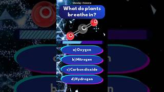 97% Of People Fail This Elementary Biology Quiz! 🧠 #quiz #science #thinksanely