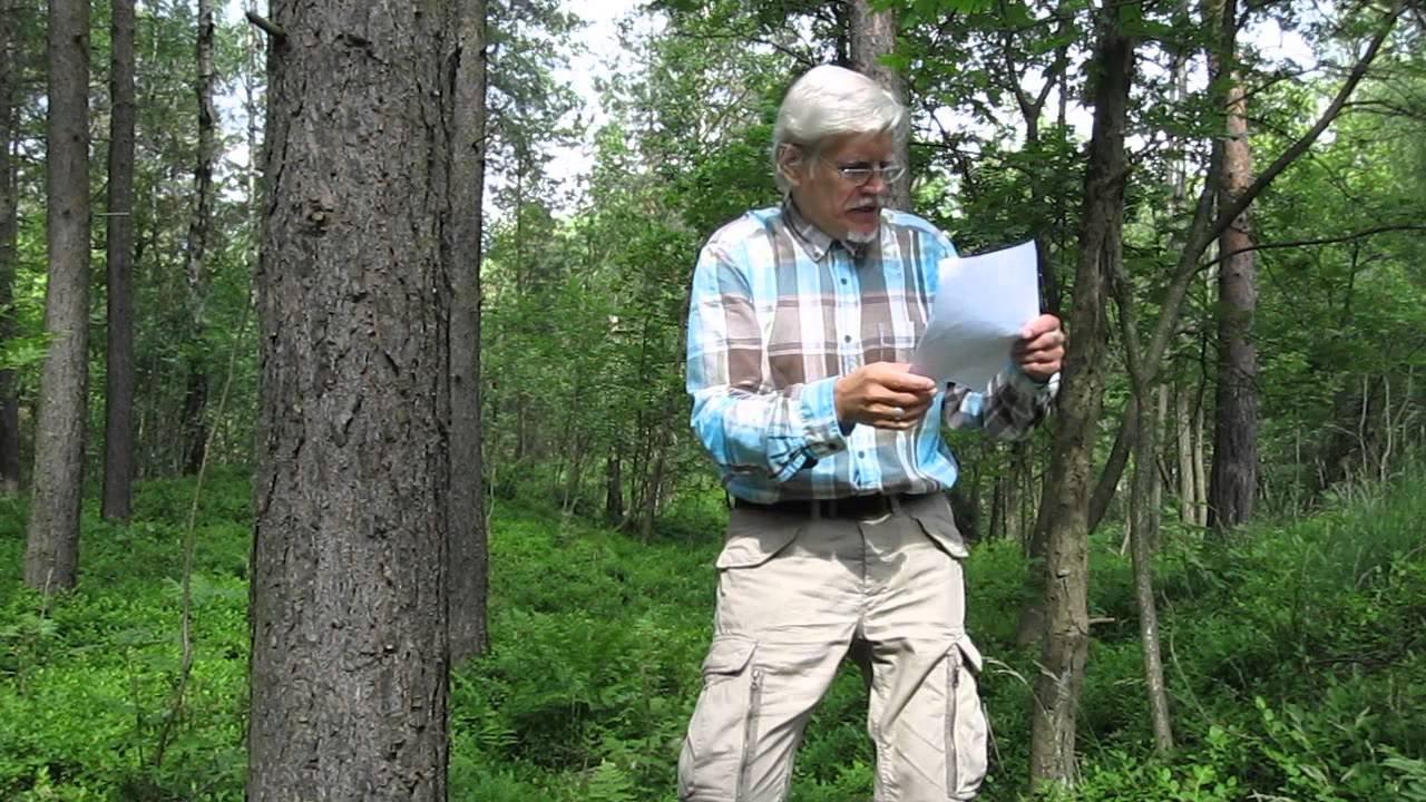 Spindeln - en dikt av Haldor Paulsson