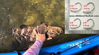 Mangrove Grouper all day long. by Key West Kayak Fishing 6,560 views 2 months ago 23 minutes