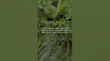 Surat Saba سورة سبأ the quran translated in english