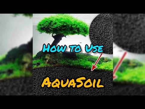 Video: Soil Care: Liquid Phase Or Soil Solution