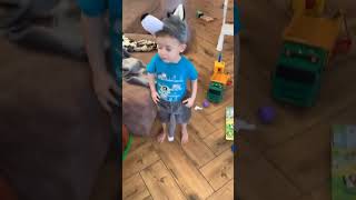 #funny #funnyshorts #funnyvideo #shorts #short #shortsvideo #shortvideo #lol #dog