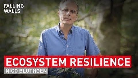 Breaking the Wall to Ecosystem Resilience