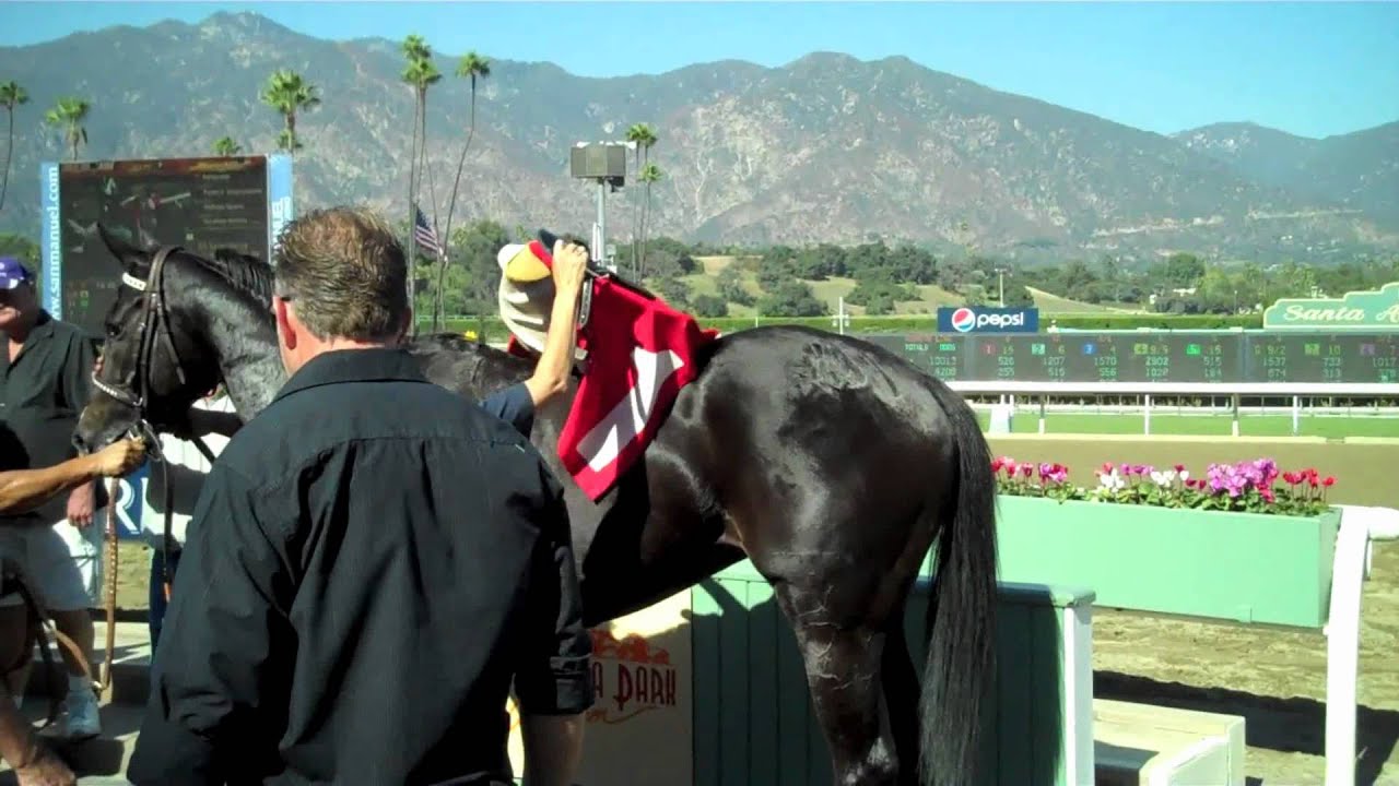 horseshoe bend Anoakia Stakes
