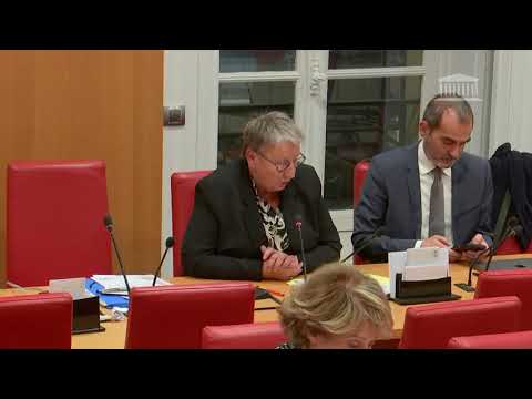 Martine Froger, Députée de l'Ariège