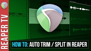 Celebrity Reaper Tutorial: Auto Split / Trim Basics Wealth
