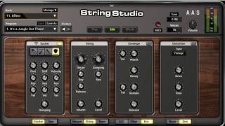 Physical Modeling in String Studio