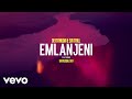 De Mthuda, Sir Trill - Emlanjeni (Visualizer) ft. Da Muziqal Chef