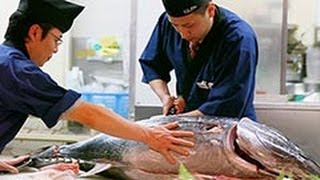 世界初の完全養殖クロマグロ　札幌三越で解体実演販売（2015/04/22） 北海道新聞