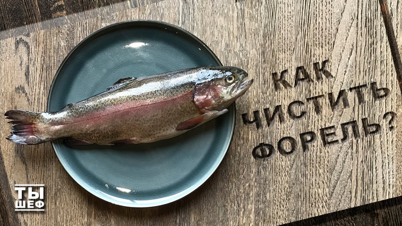 Krok 4: Vyčištění vnitřních orgánů